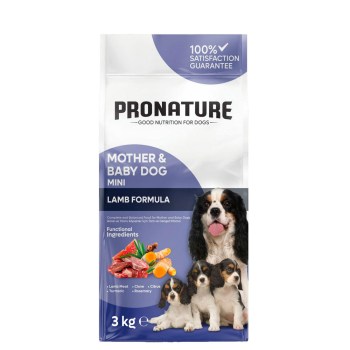 001-4156-2025-03-236