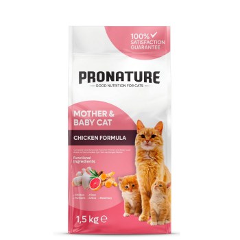 001-4156-2025-03-238