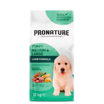 008-4156-2025-03-235