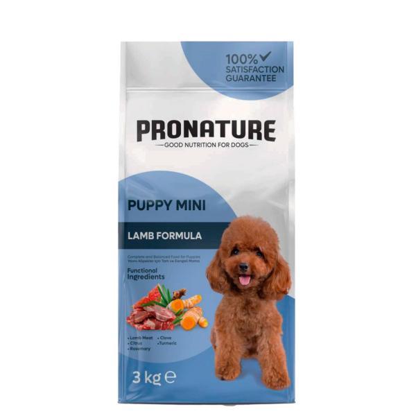 009-4156-2025-03-234.jpg_1